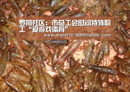 罗桐社区:市总工会慰问特殊职工“爱游戏体育”(图2) 足球即时比分