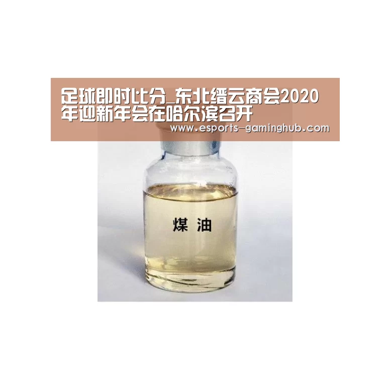 足球即时比分_东北缙云商会2020年迎新年会在哈尔滨召开(图3) 足球即时比分