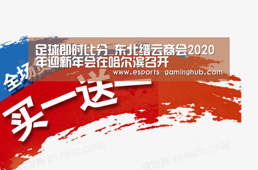 足球即时比分_东北缙云商会2020年迎新年会在哈尔滨召开(图2) 爱游戏体育