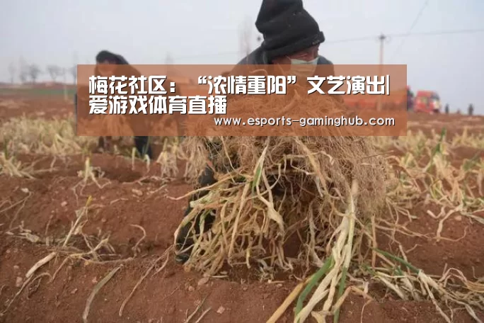 足球即时比分