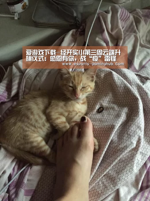 爱游戏体育直播