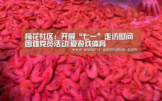 梅花社区:开展“七一”走访慰问困难党员活动|爱游戏体育(图1) 爱游戏体育