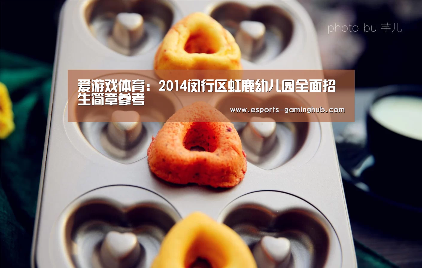 爱游戏体育:2014闵行区虹鹿幼儿园全面招生简章参考(图1) 足球即时比分