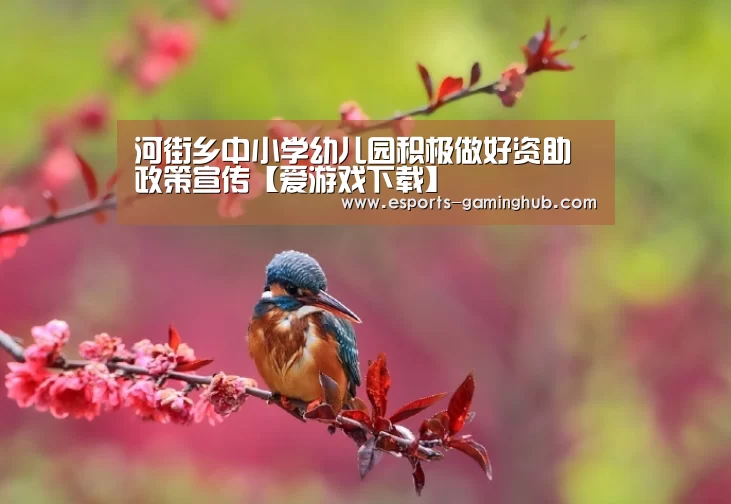 河街乡中小学幼儿园积极做好资助政策宣传【爱游戏下载】(图2) 足球即时比分