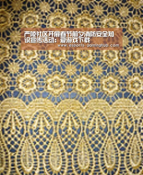 严陵社区开展春节前夕消防安全知识宣传活动:爱游戏下载(图2) 足球即时比分